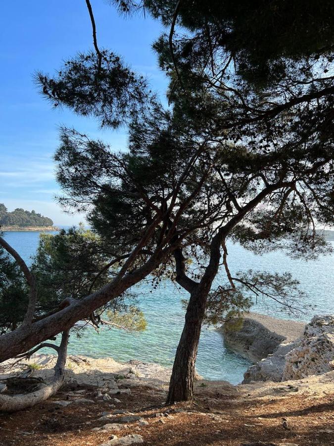 Domus Maria With Swimming Pool And Free Parking Villa Banjole Buitenkant foto